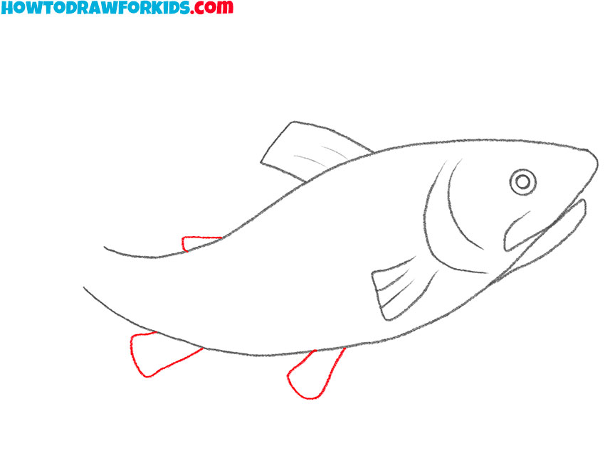how to draw a realistic trout