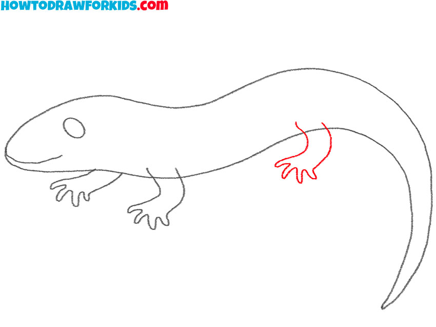 how to draw a salamander realistic