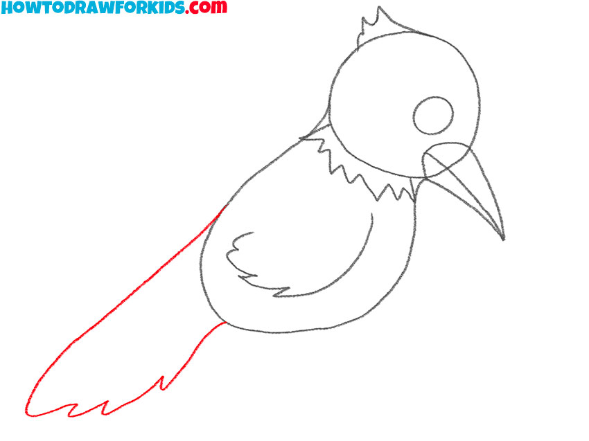 how to draw a woodpecker beak