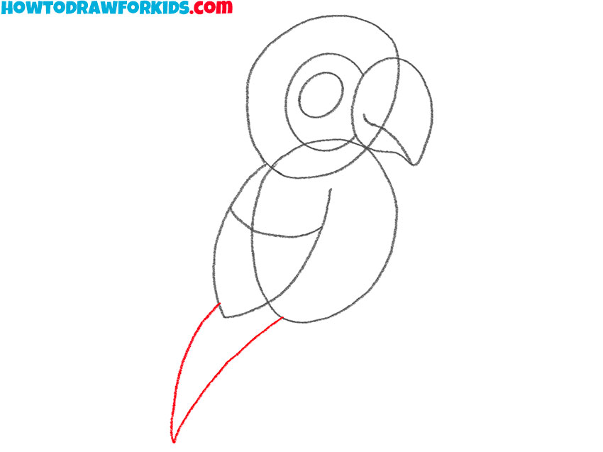 how to draw an easy macaw