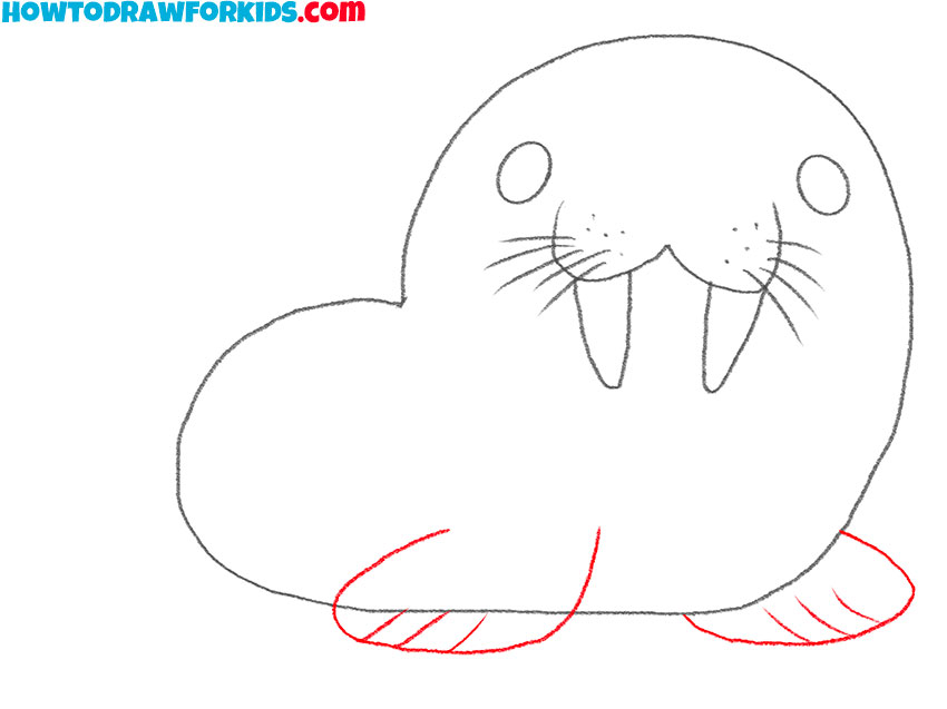 how to draw a cartoon sea lion