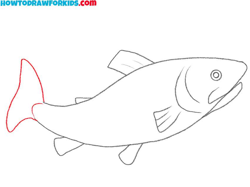how to draw a trout for kids