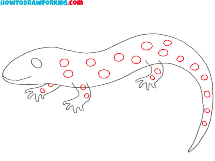 How to Draw a Salamander Easy Drawing Tutorial For Kids
