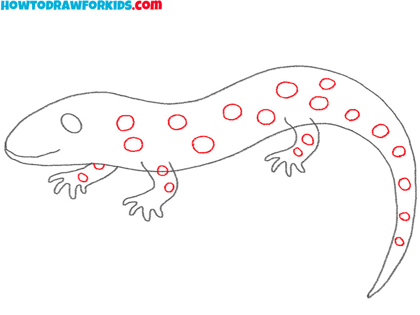 how to draw an easy salamander