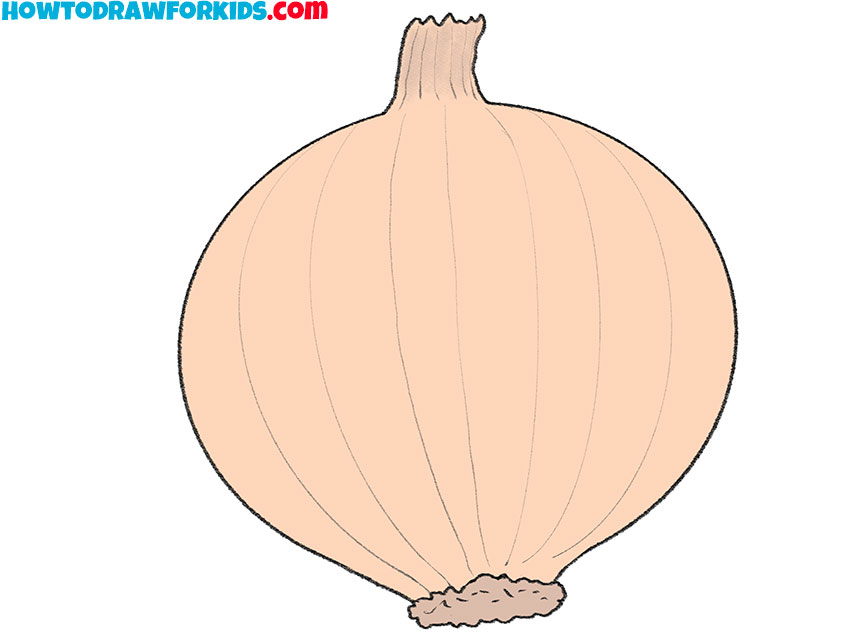 onion drawing lesson