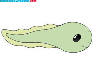 How to Draw a Tadpole - Easy Drawing Tutorial For Kids