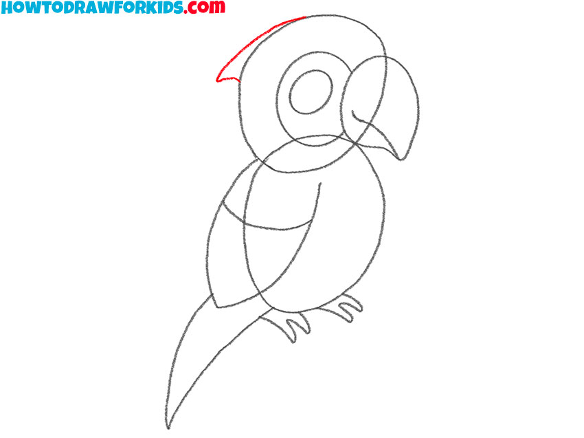 how to draw a cartoon macaw