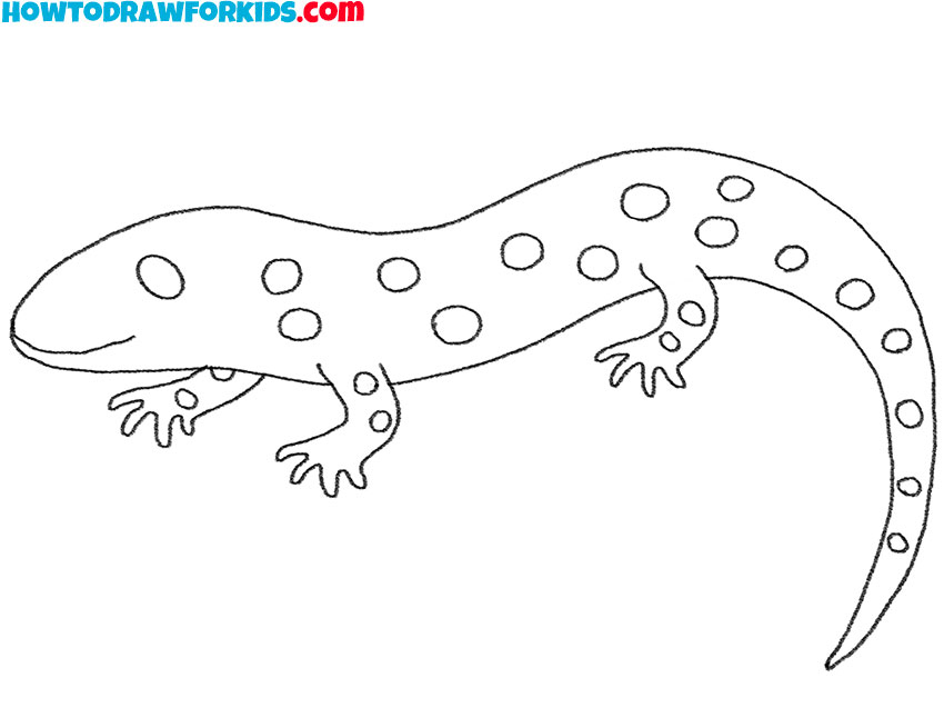 how to draw a cute salamander