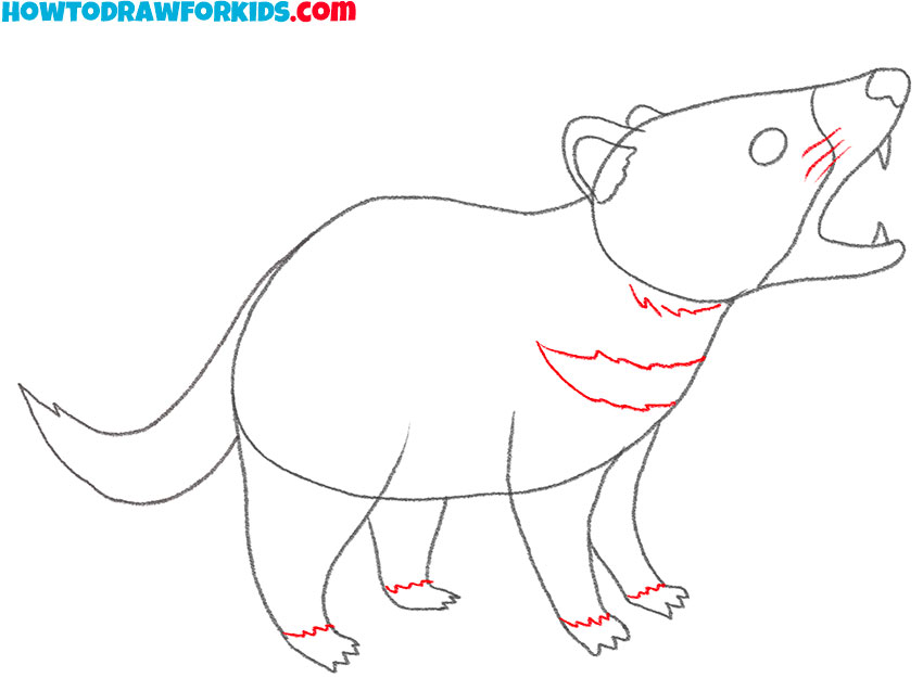 how to draw a cute tasmanian devil