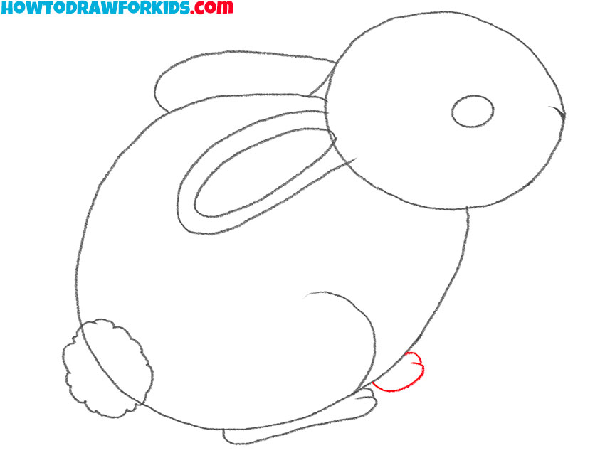how to draw a realistic bunny art hub