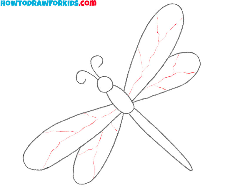 how to draw a realistic dragonfly step by step