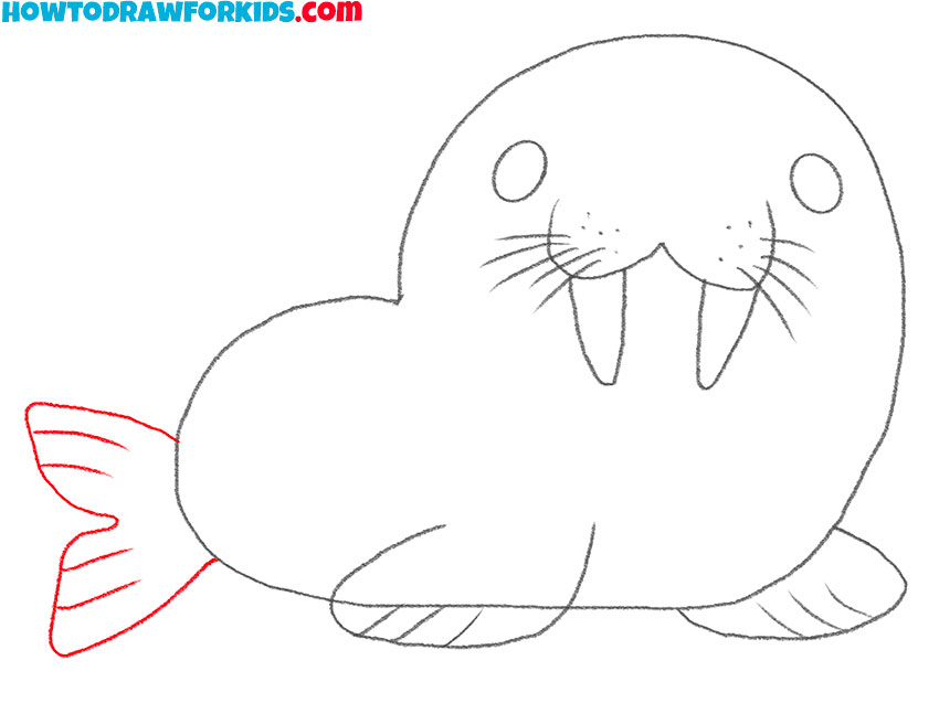 how to draw a realistic sea lion