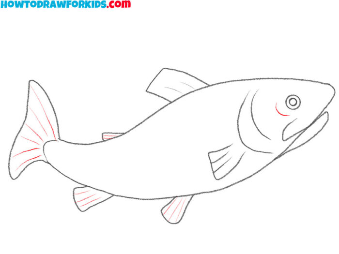 How to Draw a Trout Easy Drawing Tutorial For Kids