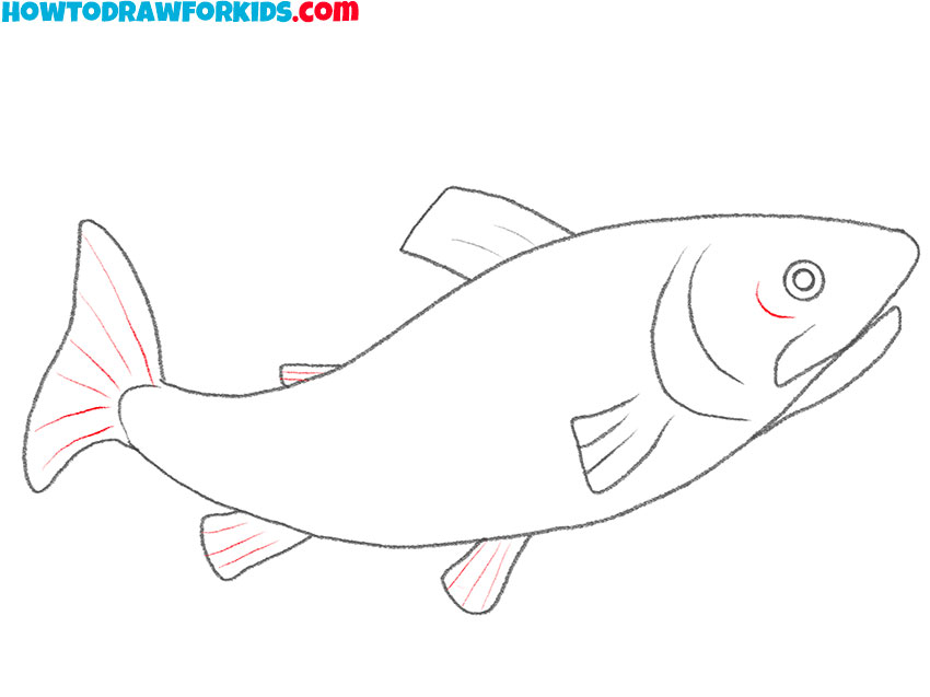 how to draw a trout for beginners