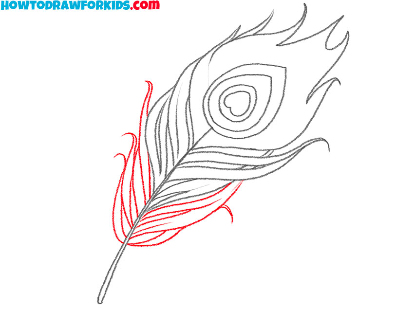simple peacock feather drawing