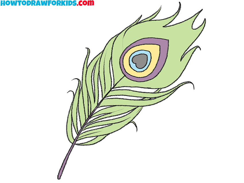  easy peacock feather drawing