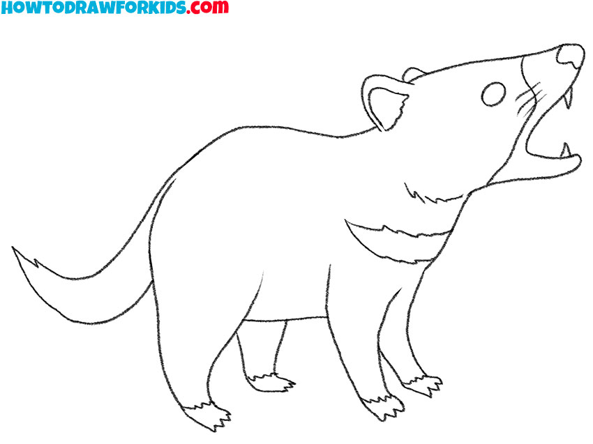 how to draw a realistic tasmanian devil