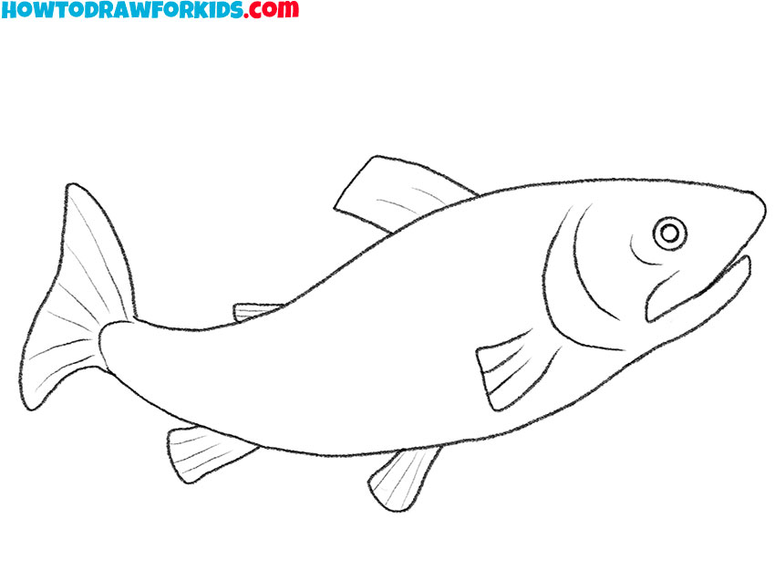 how to draw a trout for kindergarten