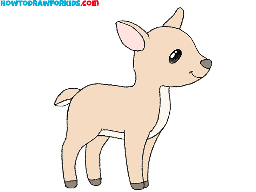  easy white-tailed deer drawing
