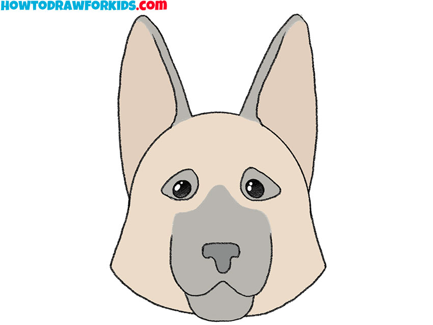 how to draw a german shepherd face
