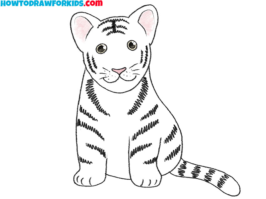  how to draw a cartoon white tiger