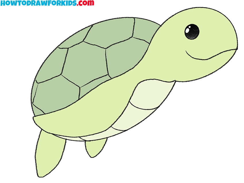 how to draw a cute baby sea turtle