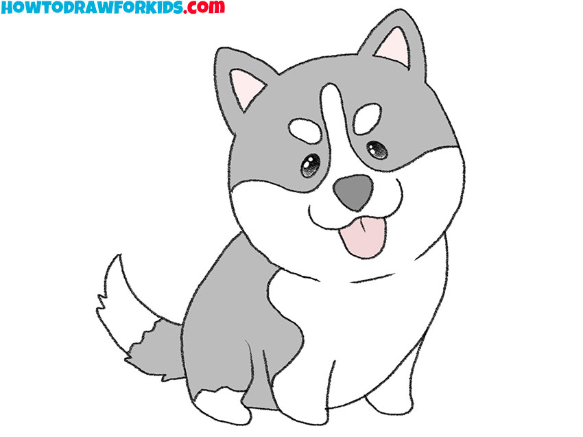  how to draw a cute husky puppy easy