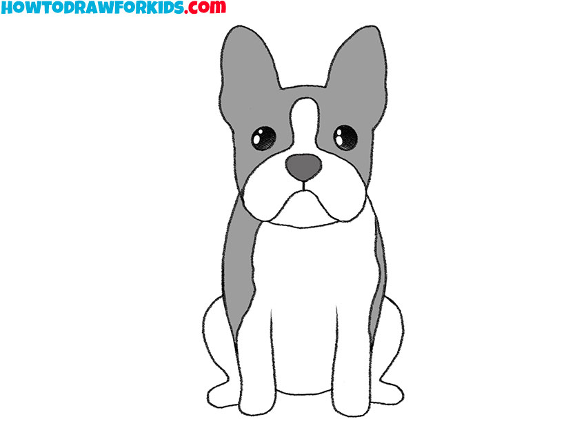 how to draw a realistic boston terrier for kids