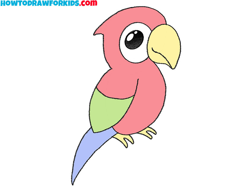 scarlet macaw drawing in steps - kenfortes children art level 2- advanced  digital painting art - KenFortes visual Arts academy Bangalore offers art  courses for children adults online drawing painting structured &
