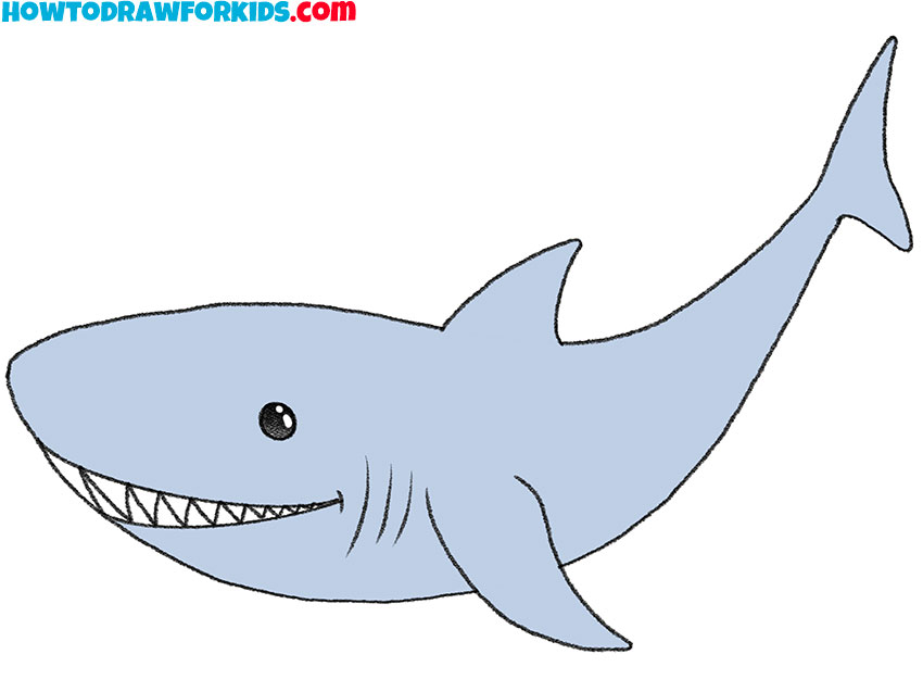 how to draw a shark easily