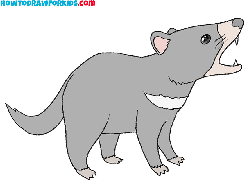 how to draw a tasmanian devil in easy steps