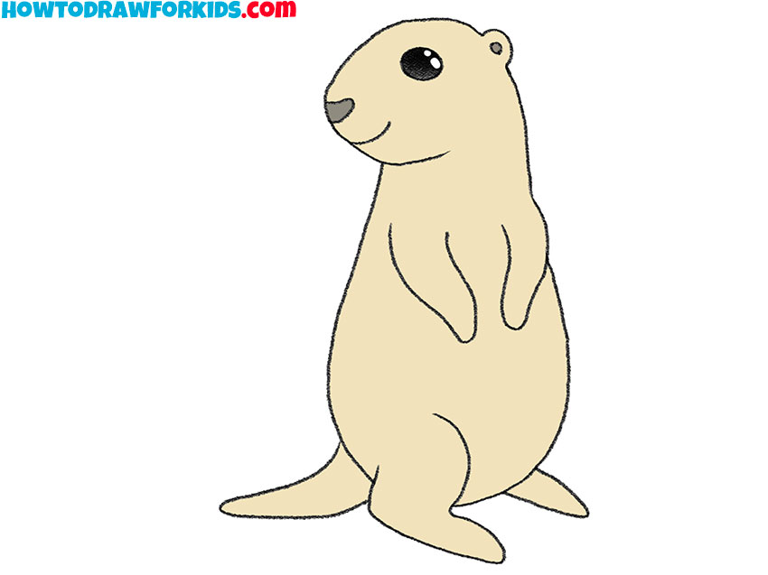 How to Draw a Prairie Dog Easy Drawing Tutorial For Kids