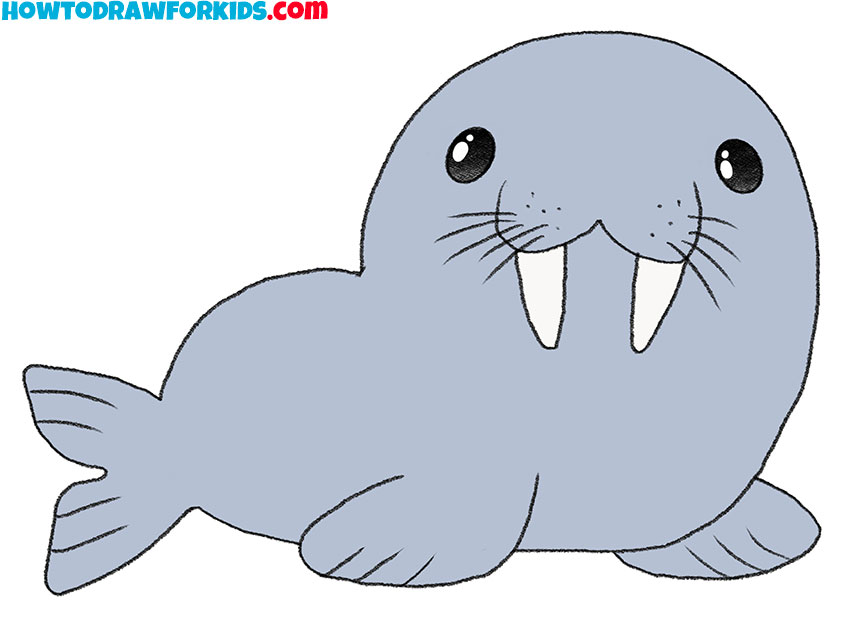 Animal Drawings Coloring Pages | Sea Lion animal identification drawing and  coloring pages | HonkingDonkey