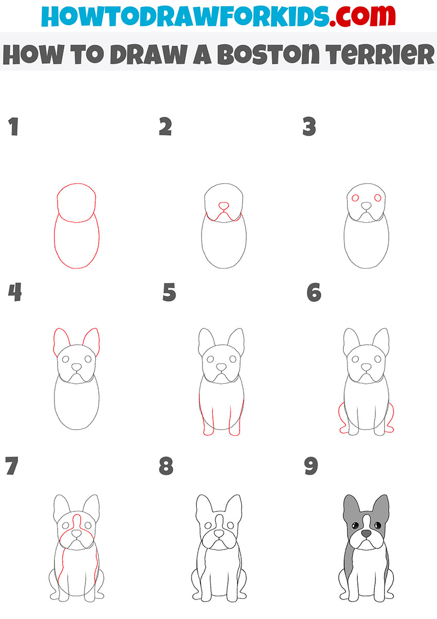 how to draw a boston terrier step by step