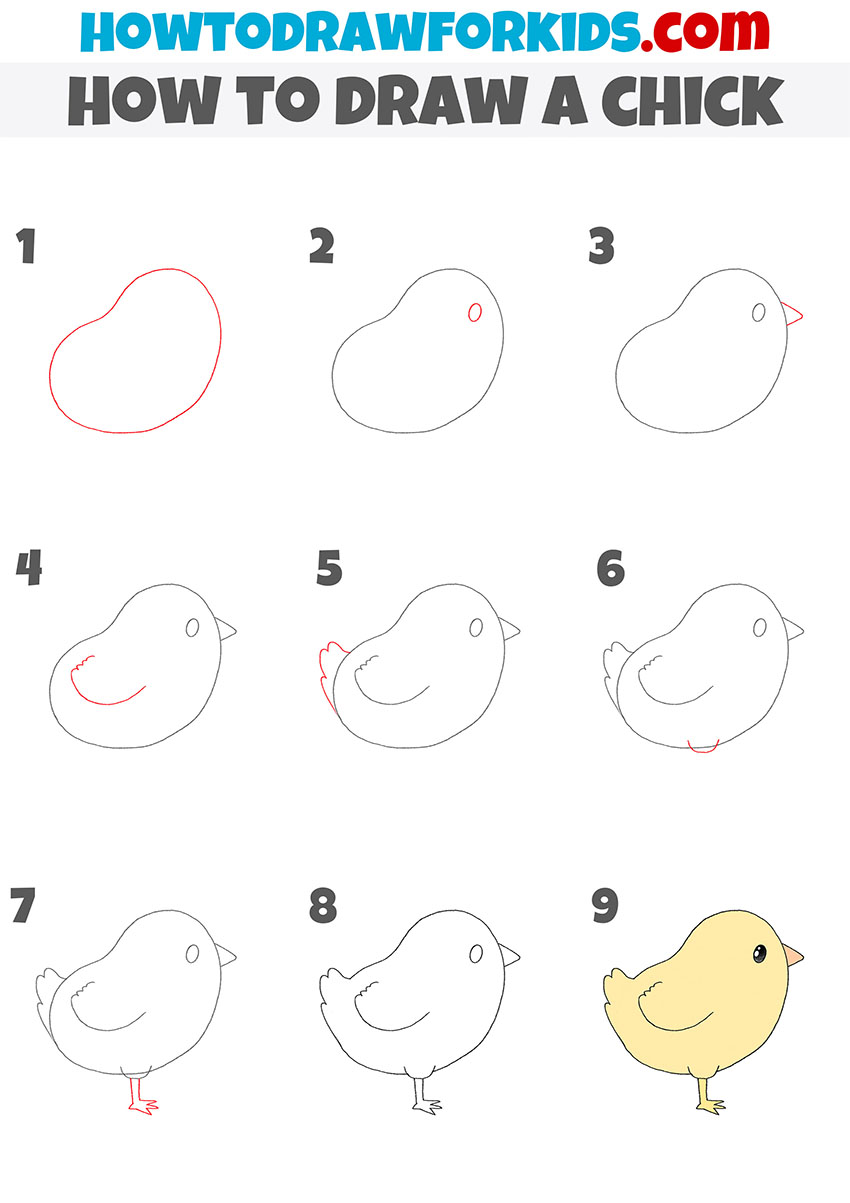 how to draw a chick step by step