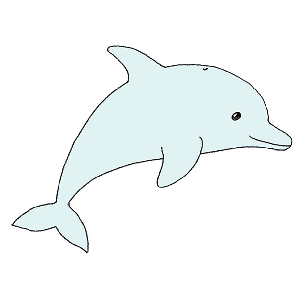 How to Draw a Dolphin Step by Step  EasyDrawingTips