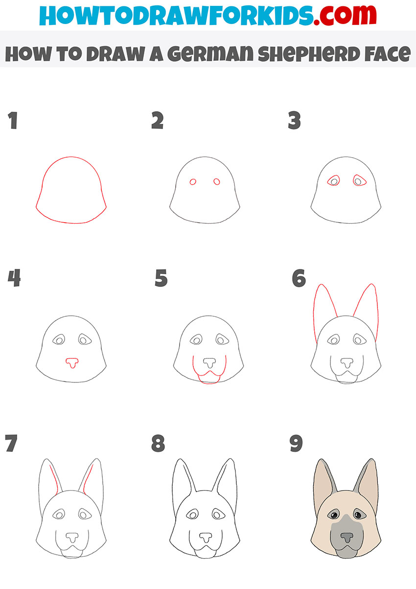 how to draw a german shepherd face step by step