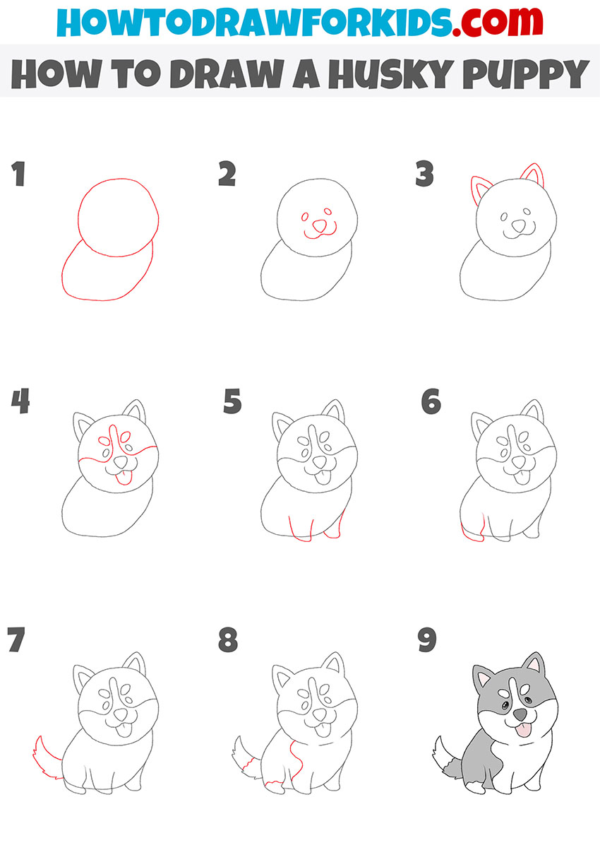 how to draw a husky puppy step by step