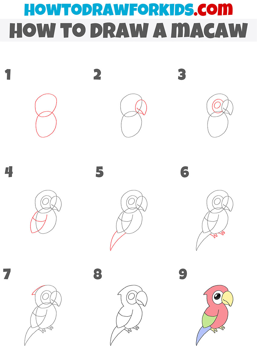 How to Draw a Macaw Easy Drawing Tutorial For Kids