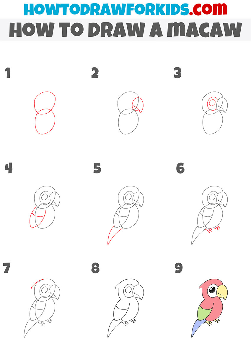 How To Draw A Macaw Easy Drawing Tutorial For Kids