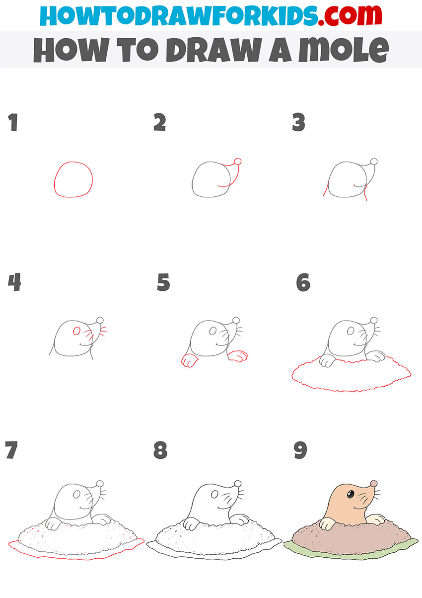 how to draw a mole step by step