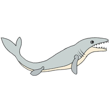 How to Draw a Mosasaurus