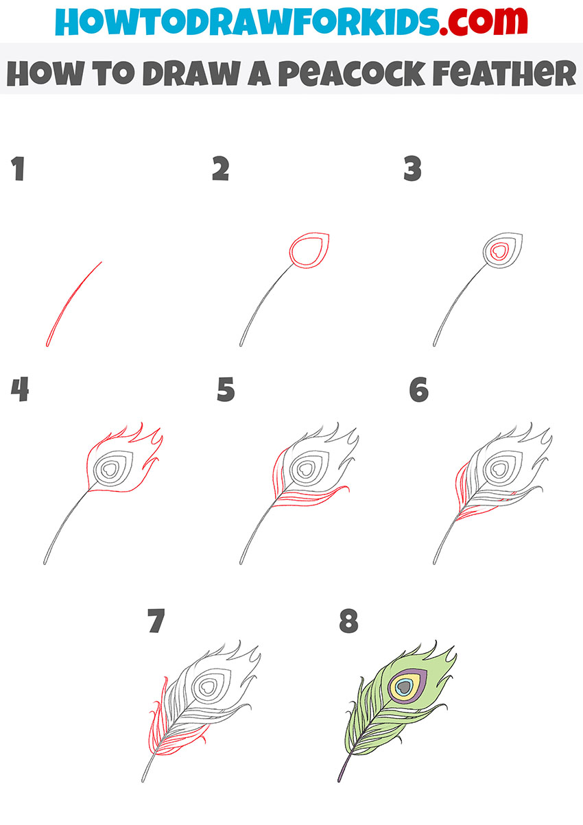 how to draw a peacock feather step by step