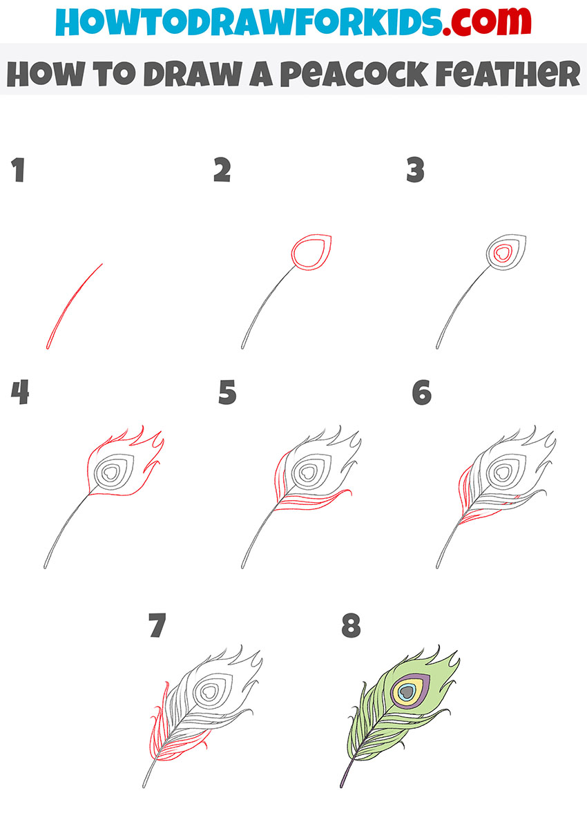 How to Draw a Peacock Feather - DrawingNow