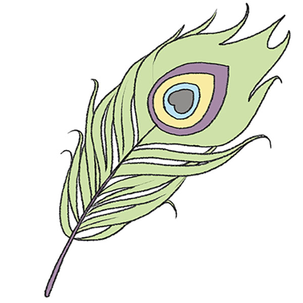 How to Draw a Peacock Feather