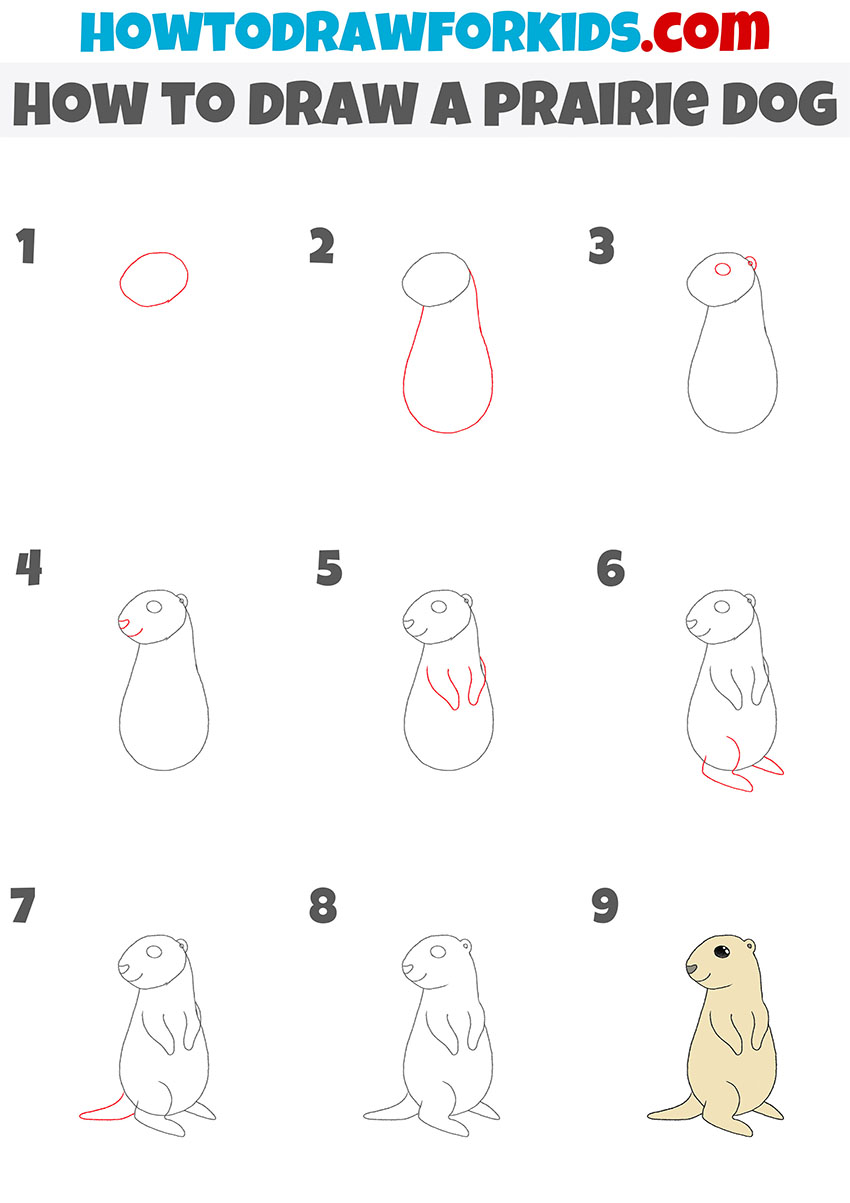 how to draw a prairie dog step by step