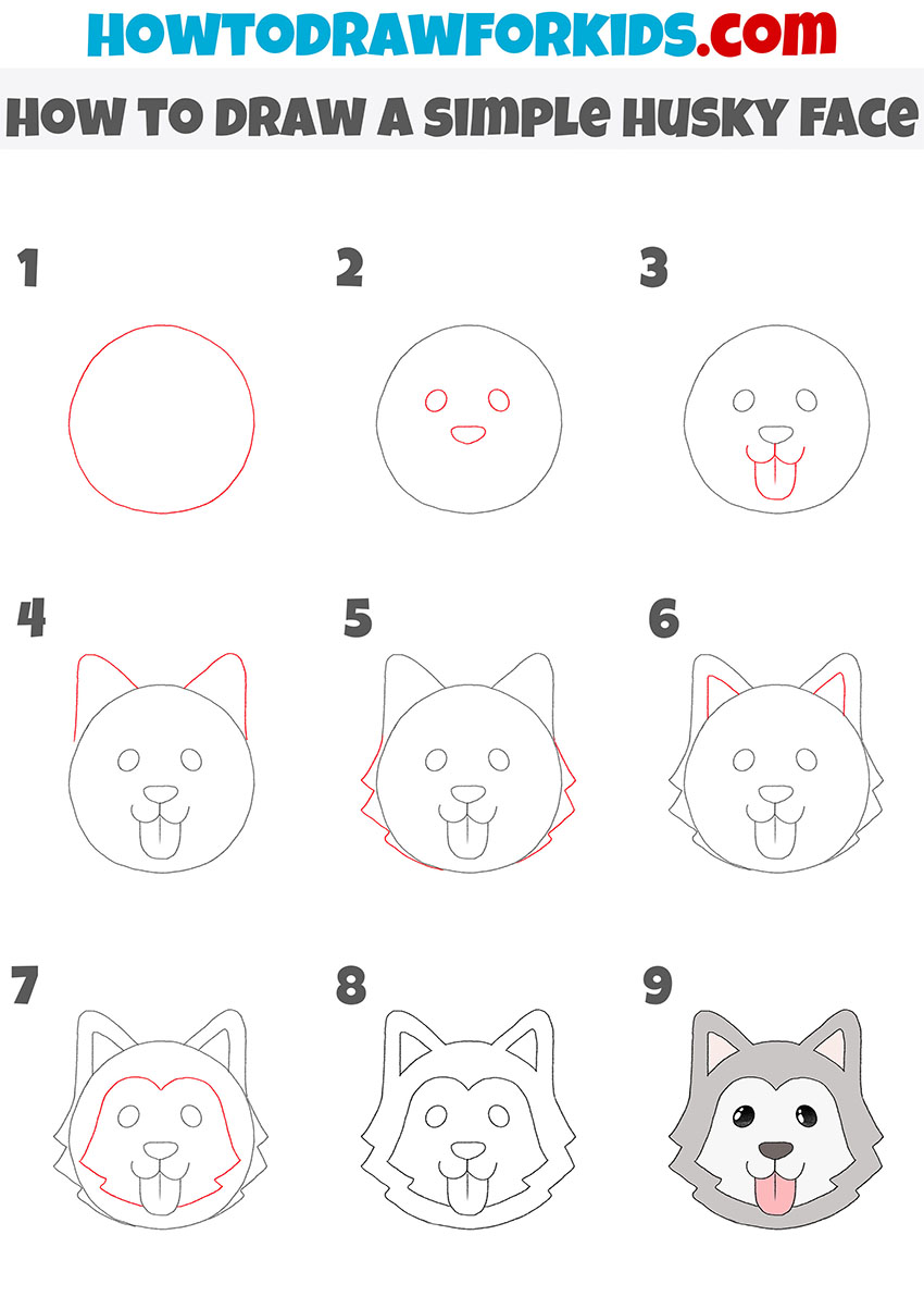 how to draw a simple husky face step by step