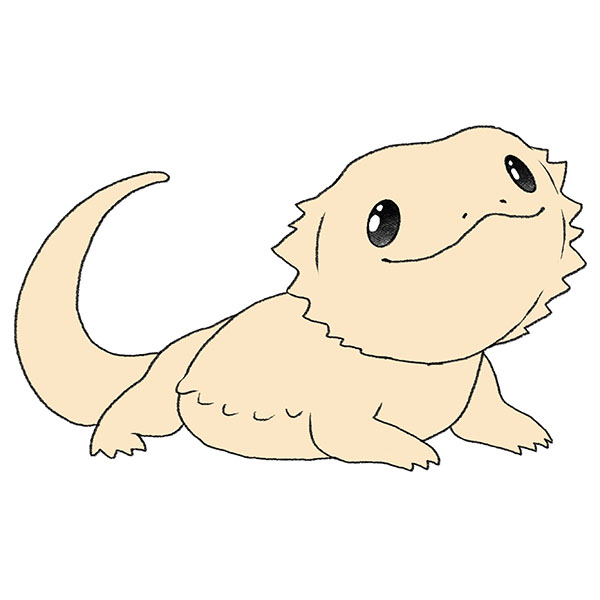 Lizard Drawing Simple