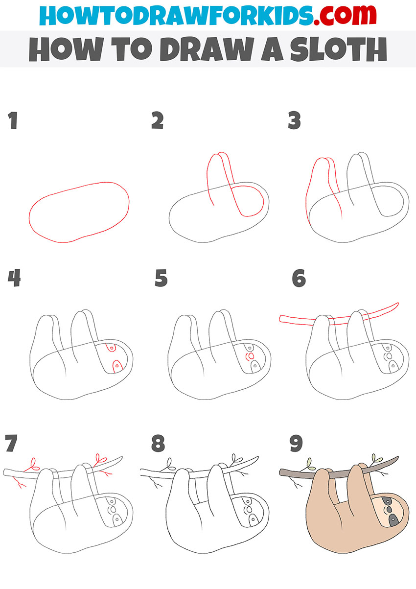 how to draw a sloth step by step