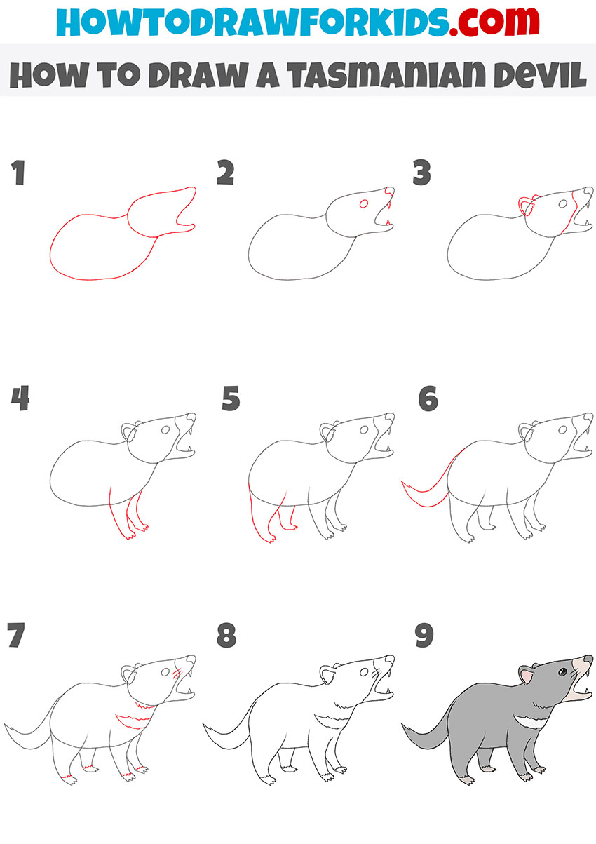 how to draw a tasmanian devil step by step